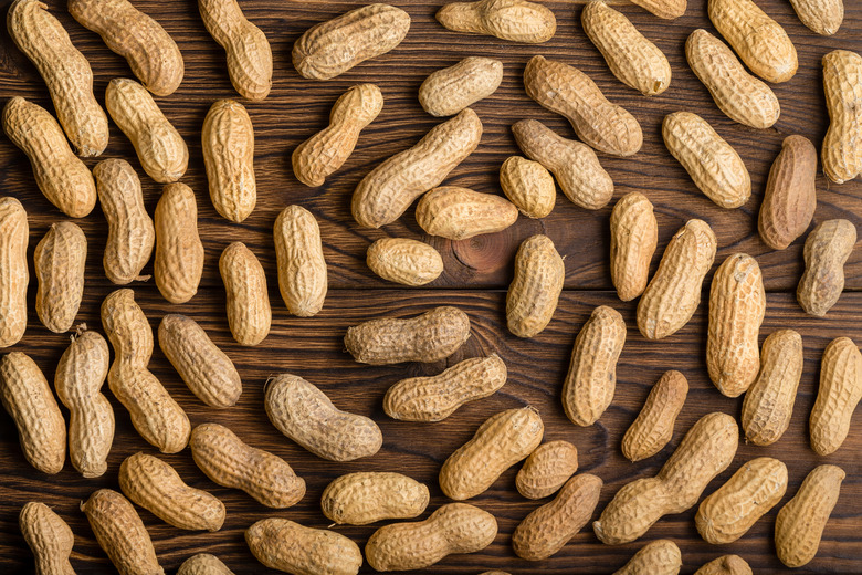 Alabama: National Peanut Festival (Dothan)