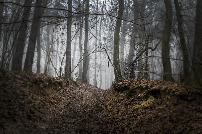 Minnesota: Molitor's Haunted Acres, Sauk Rapids