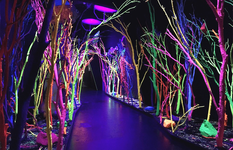 New Mexico: Meow Wolf