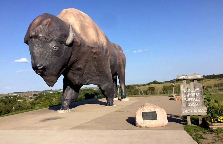 North Dakota: National Buffalo Museum