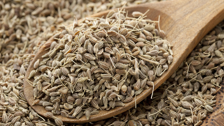 Wooden spoonful of aniseeds