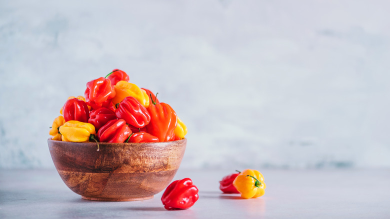 Bowl of Scotch Bonnet peppers