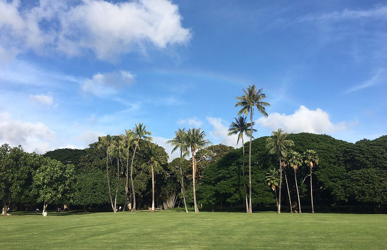 Hawaii: Moanalua Gardens, Honolulu