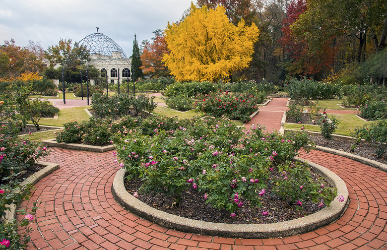 Alabama: Birmingham Botanical Gardens, Birmingham 