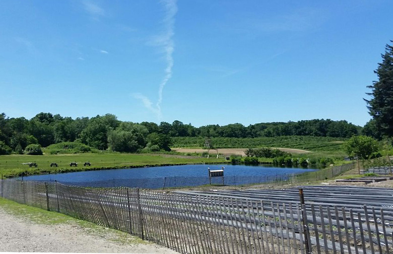 Massachusetts: Smolak Farms, North Andover