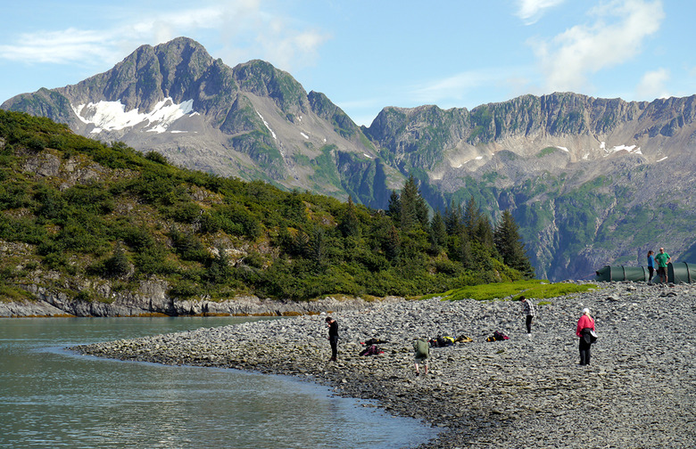 Alaska: Aialik Bay, Kenai Peninsula