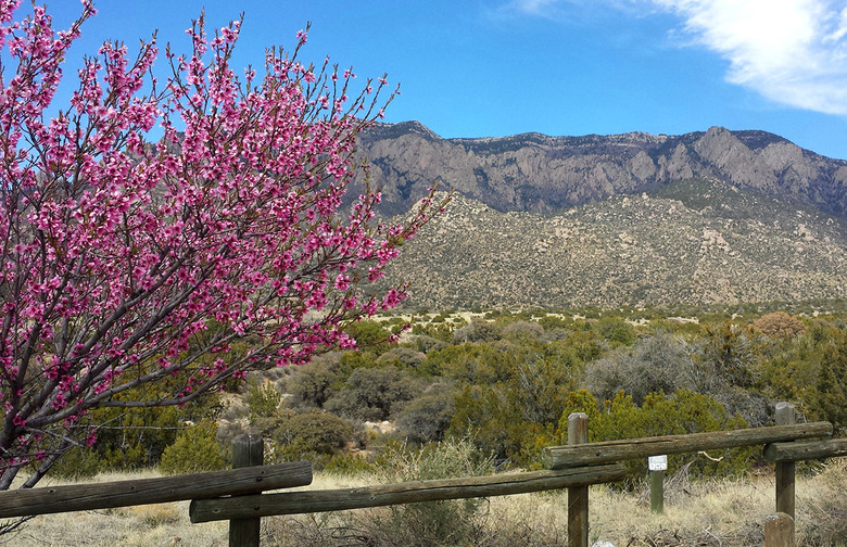 New Mexico: Elena Gallegos Picnic Area, Albuquerque