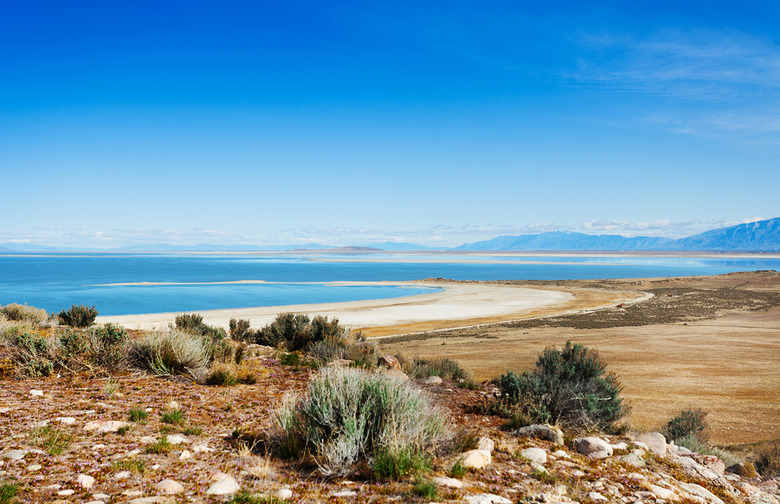 Utah: Antelope Island State Park, Syracuse