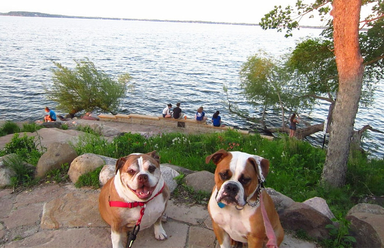  Wisconsin: Picnic Point, Madison