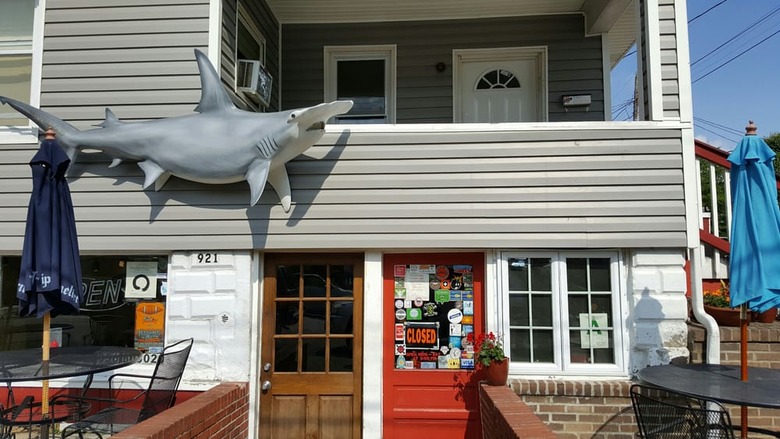 #2 Hammerheads, Louisville, Ky.