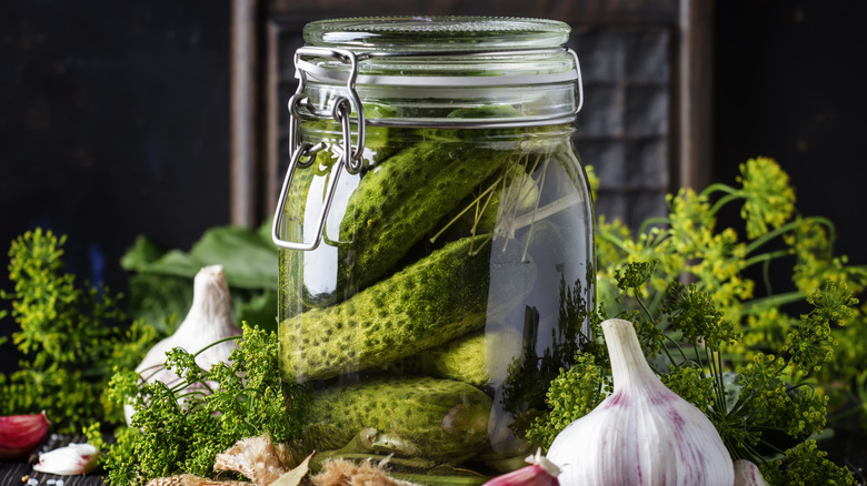 Pickled cucumbers in a jar