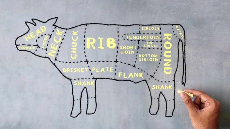 Beef cuts illustration