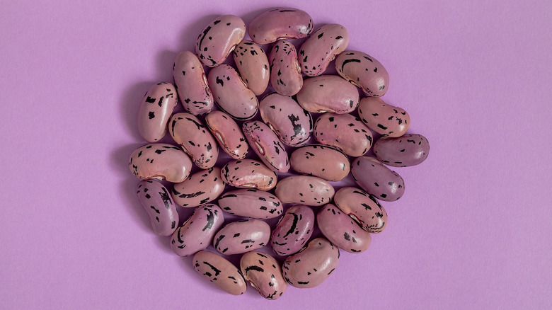 purple and black runner beans