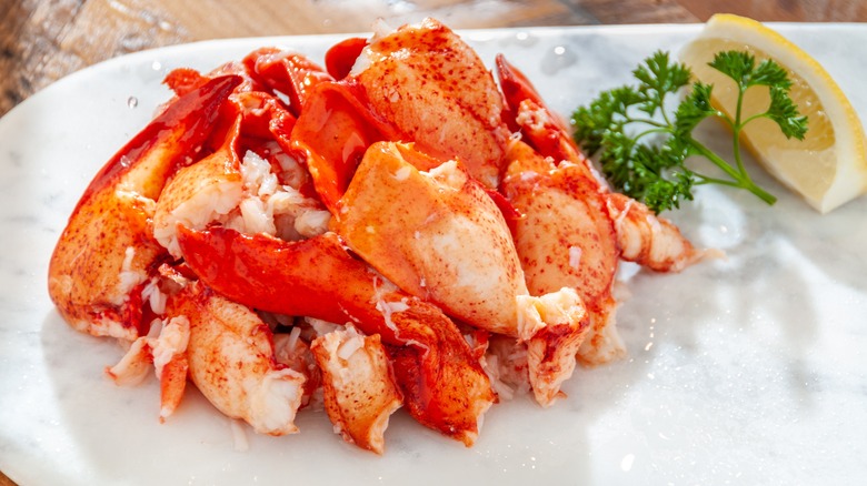 Shelled lobster meat on white plate with lemon