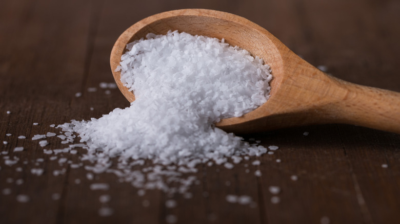 kosher salt and wooden spoon