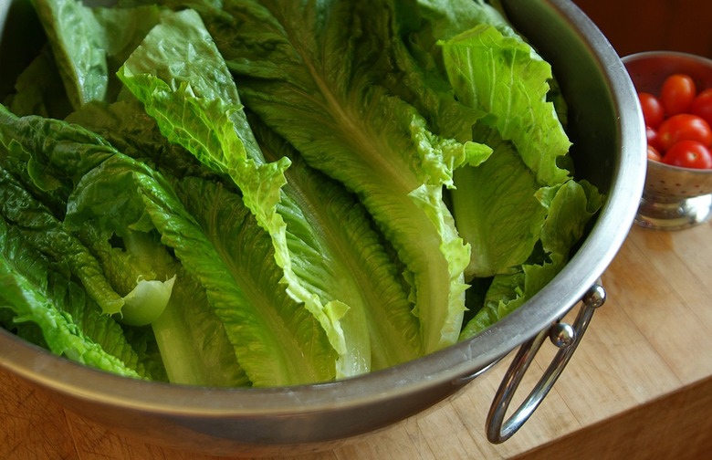 Romaine Lettuce