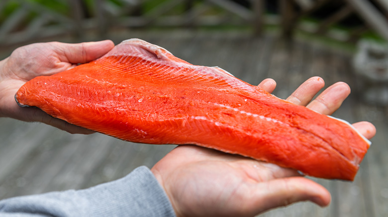 hands holding raw sockeye salmon