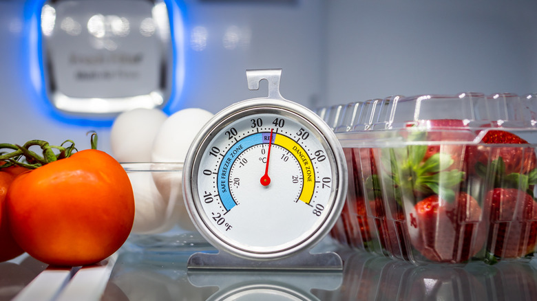 food safety thermometer in fridge