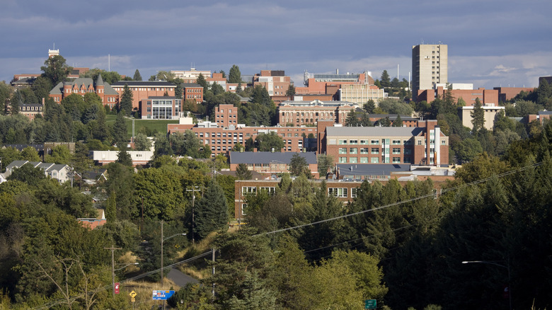 Washington State University