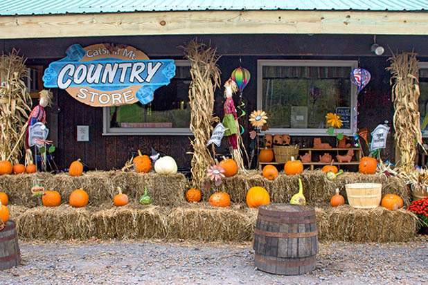 The Catskill Mountain Country Store