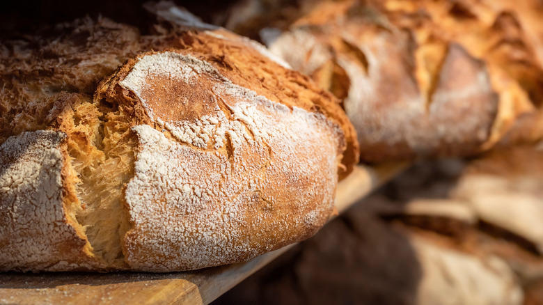 Sourdough loaves at bakery