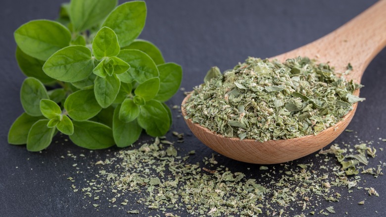 fresh and dried oregano