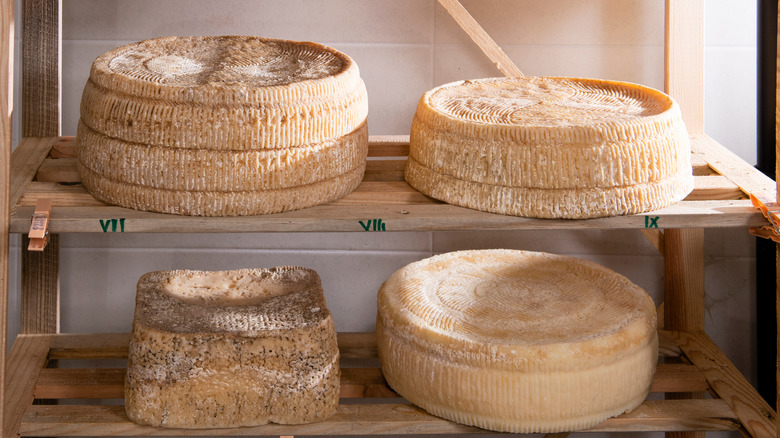 Cheeses aging