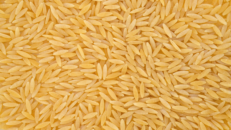 Italian orzo 