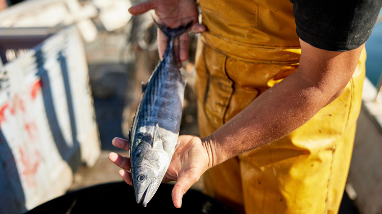 Fisherman holding a fish