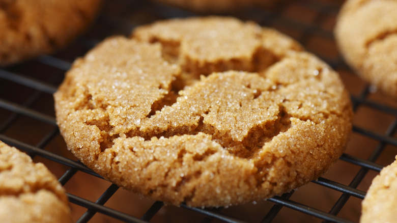 Gingersnap on a cooling rack