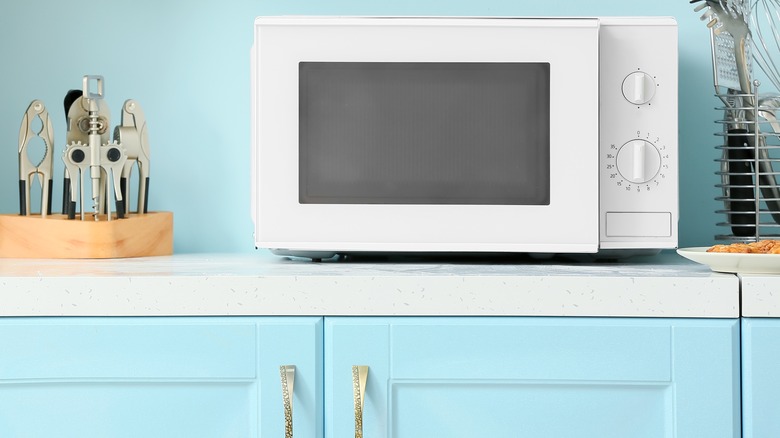 Everything you should know about the microwave food cover