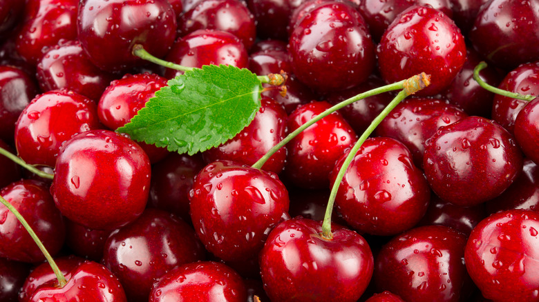 Fresh cherries with stems