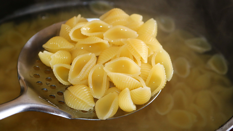 Cooked pasta shells