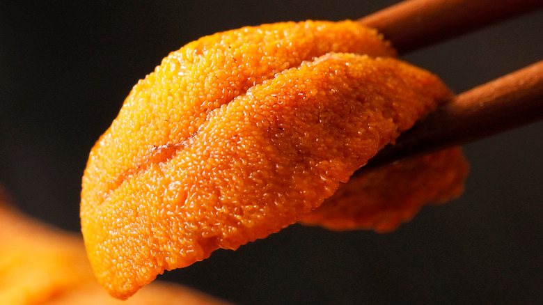 Uni held with chopsticks 