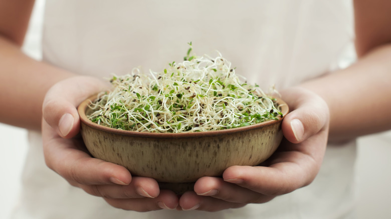 Person holding bowl of sprouts