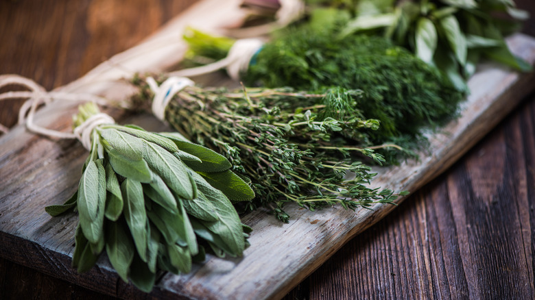 Fresh herb bundles on wooden board