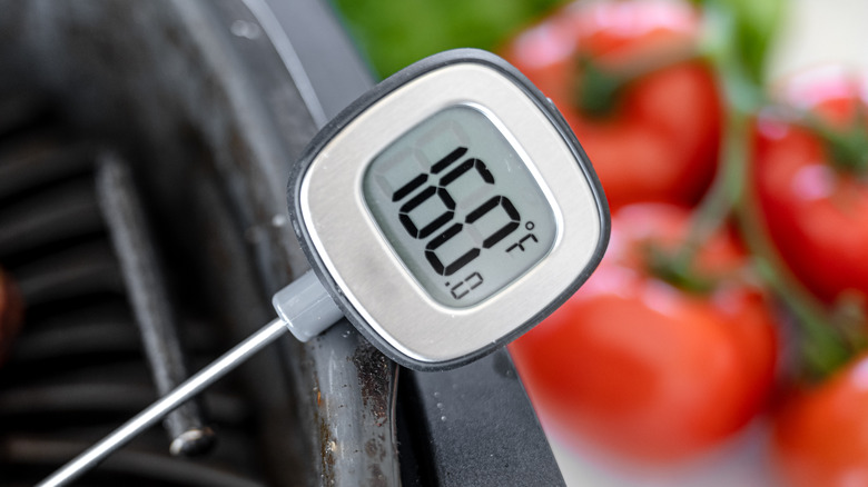 Meat thermometer