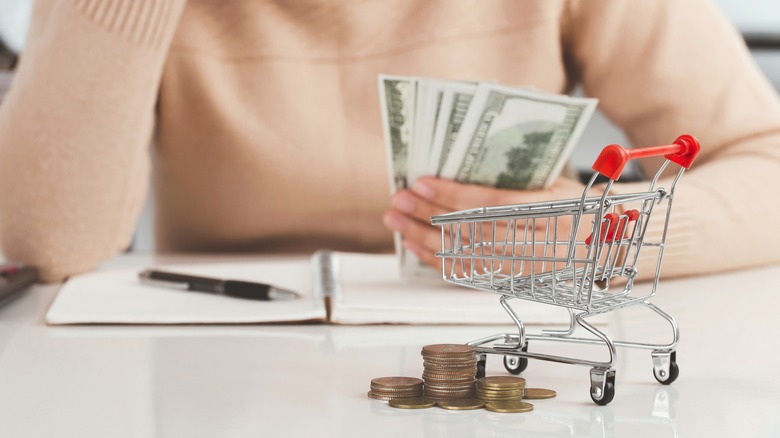 Person holding cash next to mini grocery cart