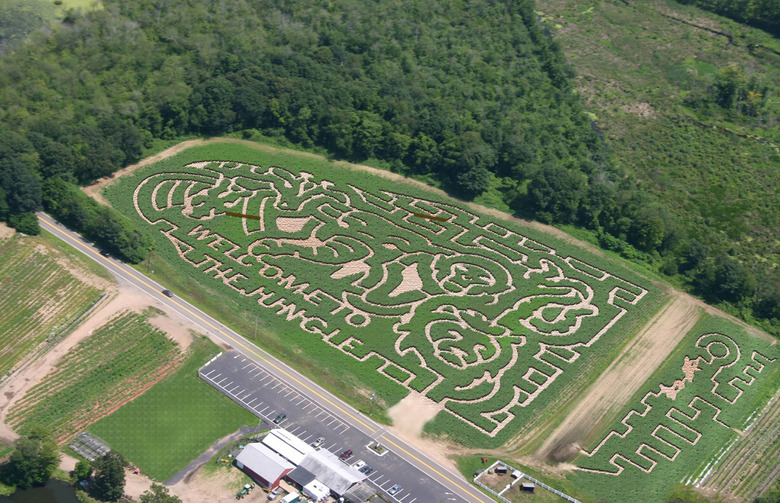 Connors Farm, Danvers, Mass.