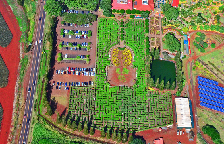 Dole Plantation Pineapple Maze, Wahiawa, Hawaii