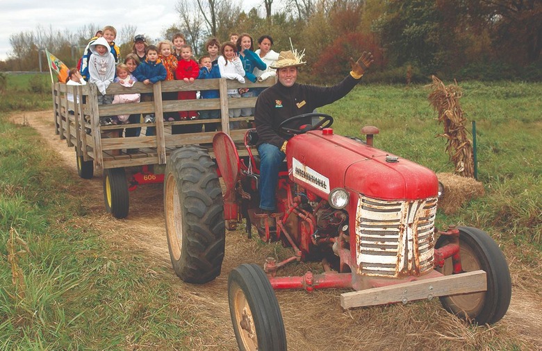 Halloween Hayrides: Stew Leonard's