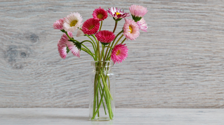 Pink flowers in small glass bottle