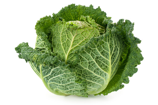 18. Savoy Cabbage