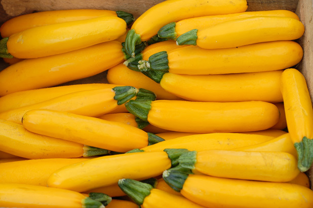 9. Summer Squash