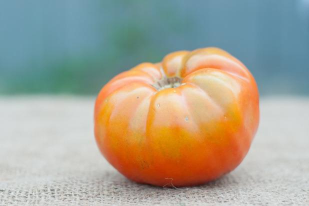 Heirloom Tomatoes