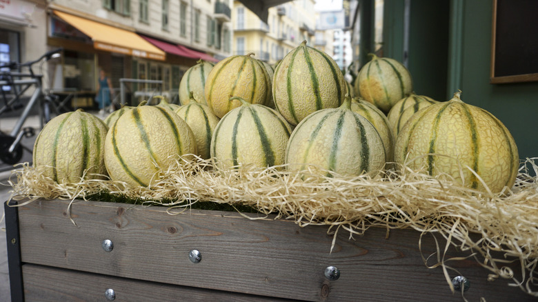 Charentais melons at a market