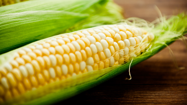 Corn on the cob in husk