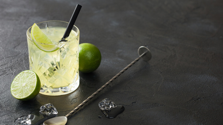 gin and tonic with lime tumbler stirrer limes