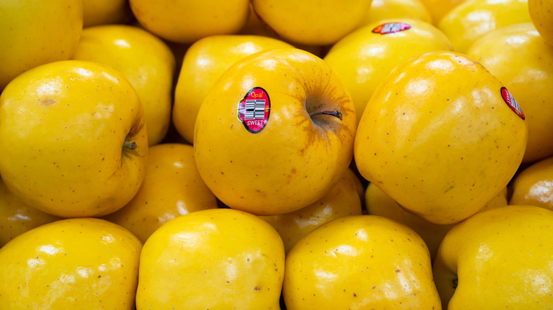 yellow opal apples at store