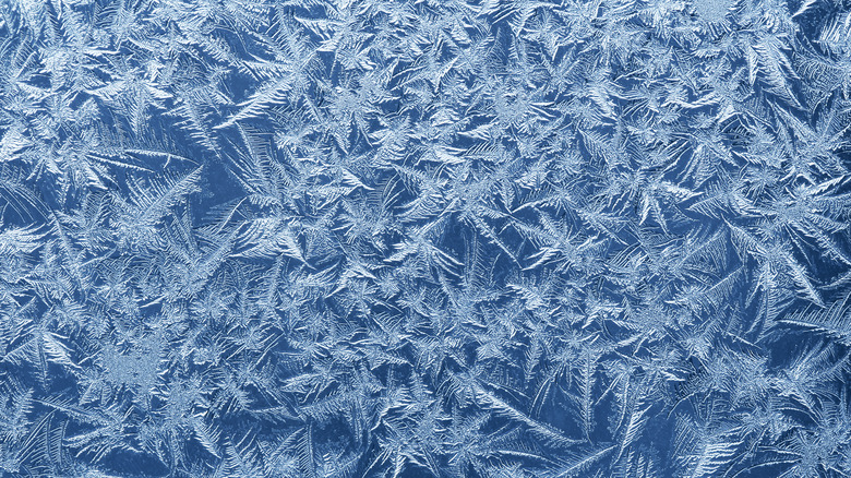 closeup of ice crystals and frost